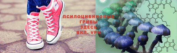 твердый Алексин