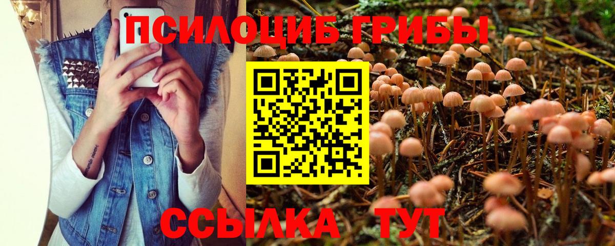 Псилоцибиновые грибы GOLDEN TEACHER Уфа