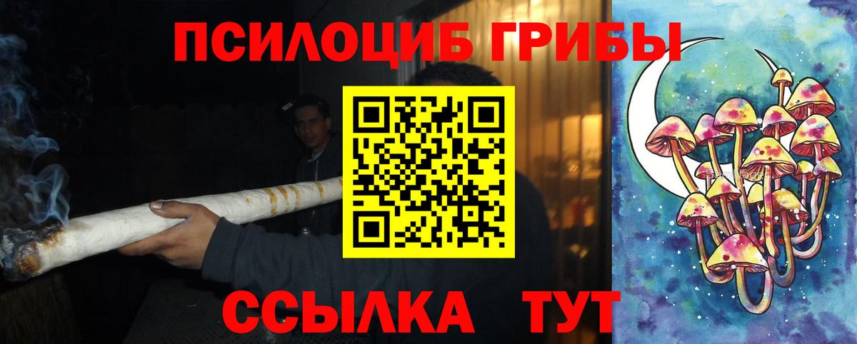 Псилоцибиновые грибы GOLDEN TEACHER  Галлюциногенные грибы GOLDEN TEACHER  Уфа  Вход с VPN 